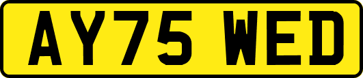 AY75WED