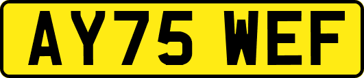 AY75WEF
