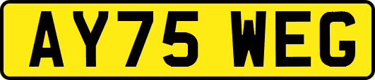 AY75WEG