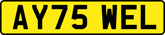 AY75WEL