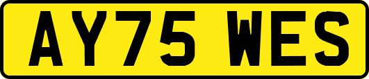 AY75WES