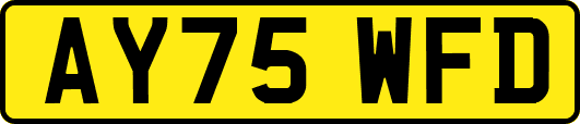 AY75WFD