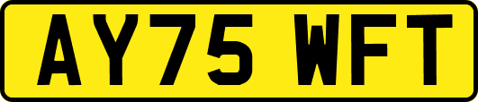 AY75WFT
