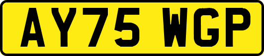 AY75WGP
