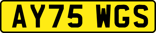 AY75WGS