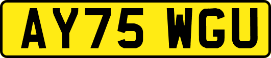 AY75WGU