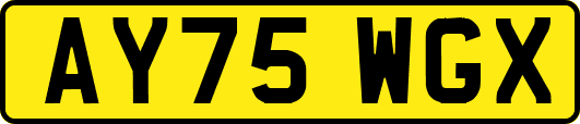 AY75WGX