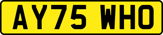 AY75WHO