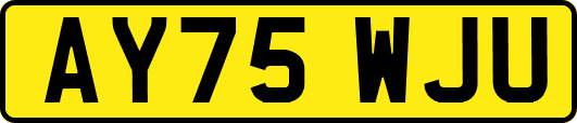AY75WJU