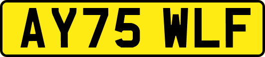 AY75WLF