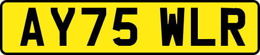 AY75WLR