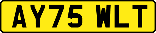AY75WLT