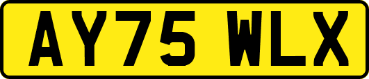 AY75WLX