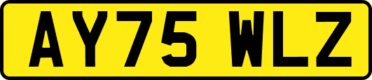 AY75WLZ