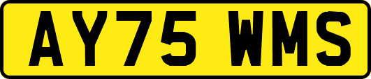 AY75WMS