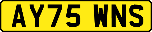 AY75WNS