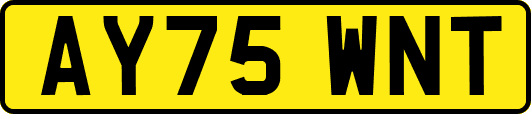 AY75WNT