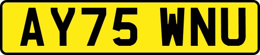 AY75WNU
