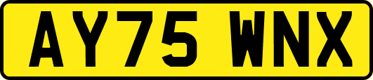 AY75WNX