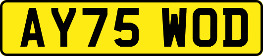 AY75WOD