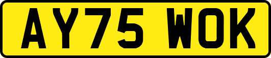 AY75WOK