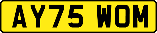 AY75WOM