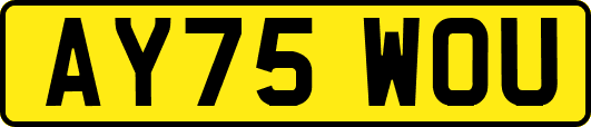 AY75WOU