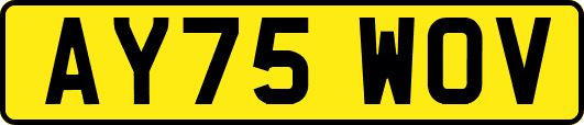 AY75WOV