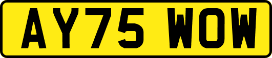 AY75WOW