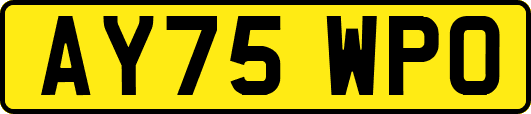 AY75WPO