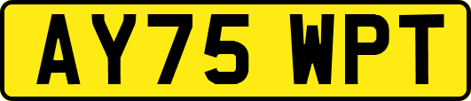 AY75WPT
