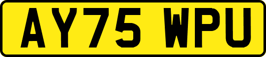 AY75WPU