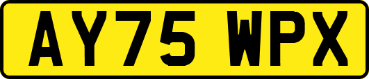 AY75WPX