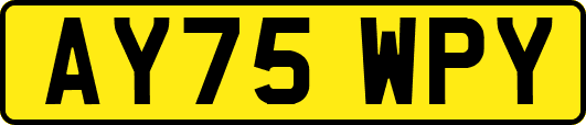 AY75WPY