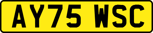 AY75WSC