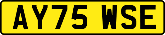 AY75WSE
