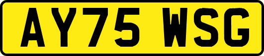 AY75WSG