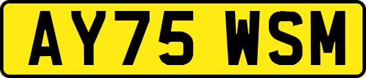 AY75WSM