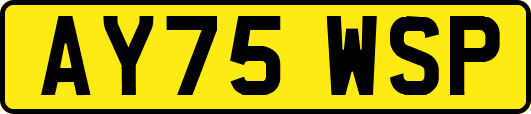 AY75WSP