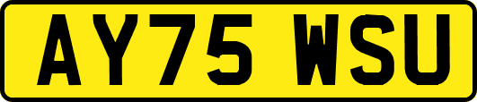 AY75WSU