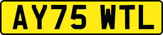 AY75WTL