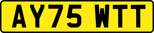 AY75WTT