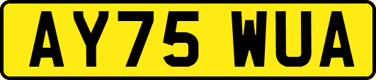 AY75WUA