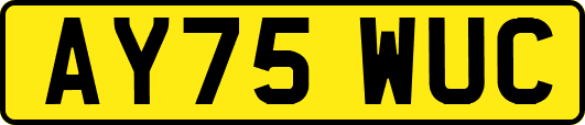 AY75WUC