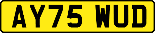 AY75WUD