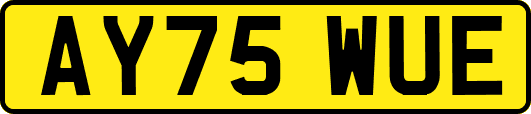 AY75WUE