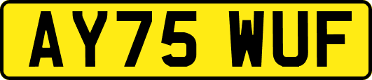 AY75WUF