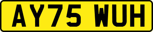 AY75WUH