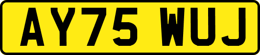 AY75WUJ