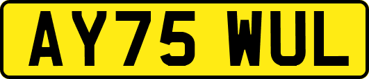 AY75WUL